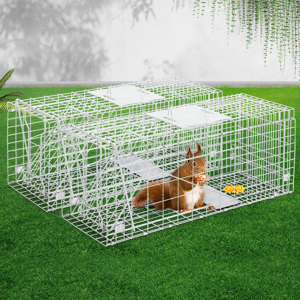 Set of 2 Humane Animal Trap Cage 66 x 23 x 25cm  - Silver