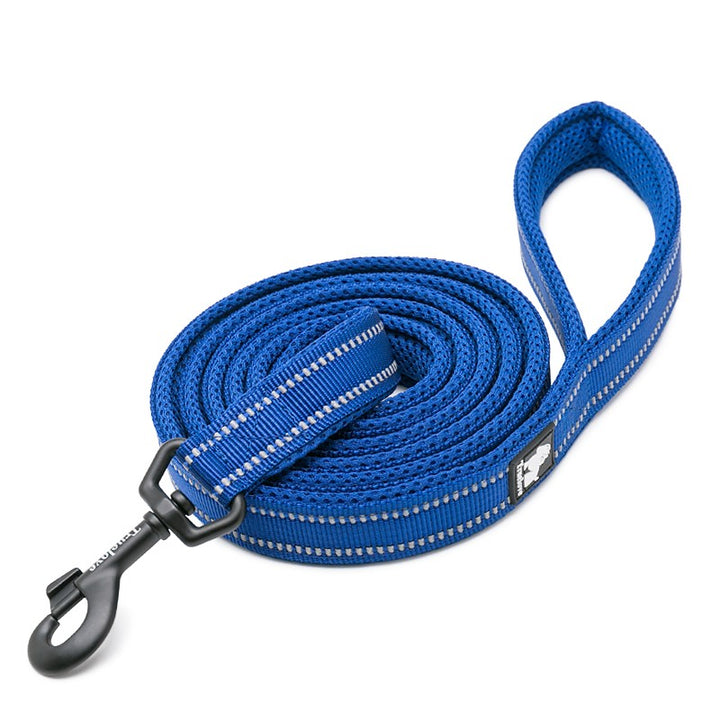 Reflective Pet Leash 2 meters Royal Blue M